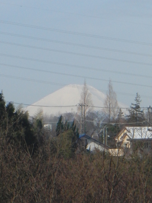 b0087914_1665788.jpg