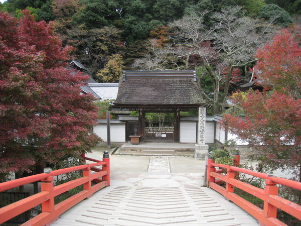 e0233614_0402442.jpg