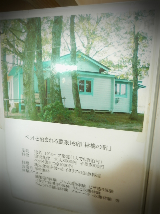 2012,秋「しもせりんご村」へ~☆_a0125419_1034043.jpg