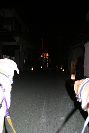 c0114121_23142668.png