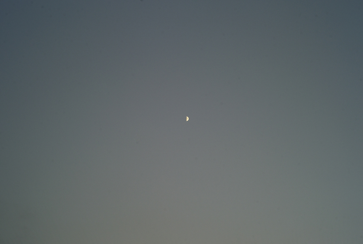 秋の一日_b0212922_1255631.jpg