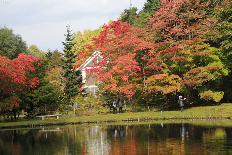 秋の紅桜公園１_e0001123_2201523.jpg