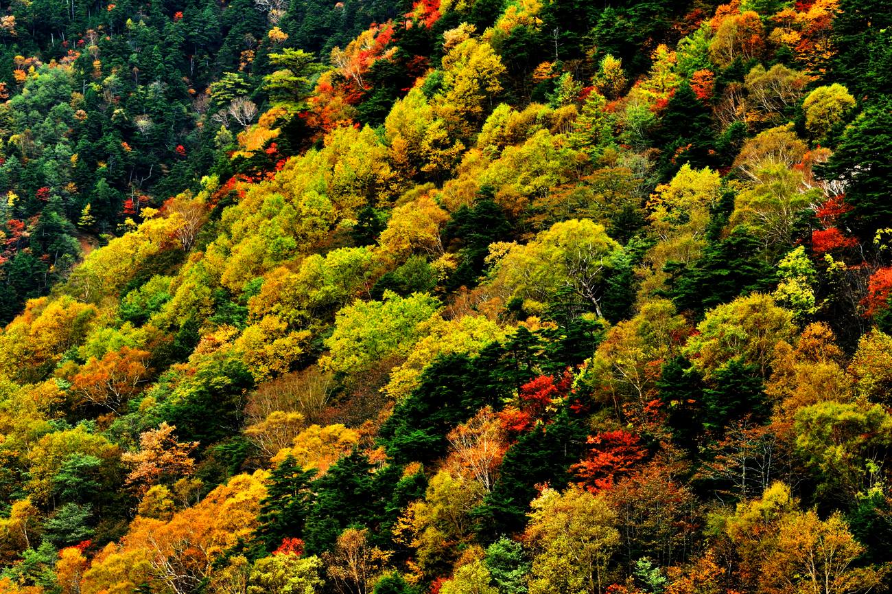 c0220824_1745141.jpg