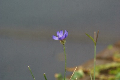 f0170524_138563.jpg