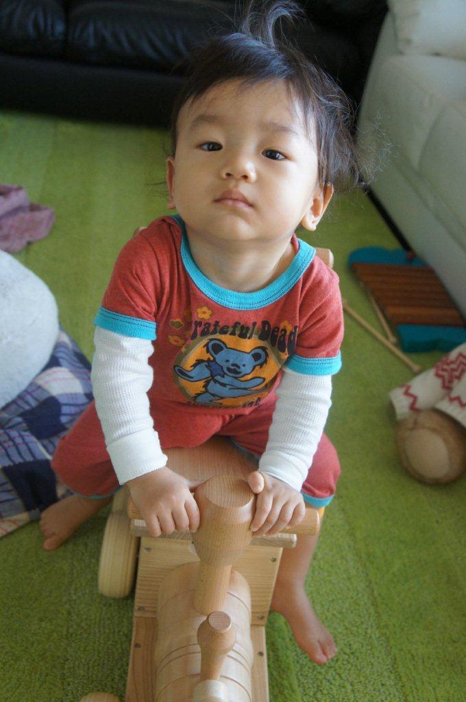 1歳2か月になりました。_e0253026_20363670.jpg