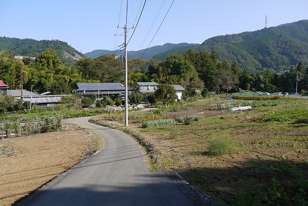 相模湖から高尾山に登る　その３_c0196928_17555567.jpg