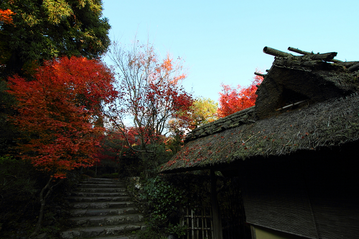 紅葉の嵯峨野巡り －厭離庵－_b0169330_21323133.jpg