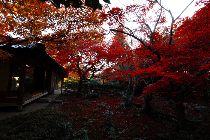 紅葉の嵯峨野巡り －厭離庵－_b0169330_2359136.jpg