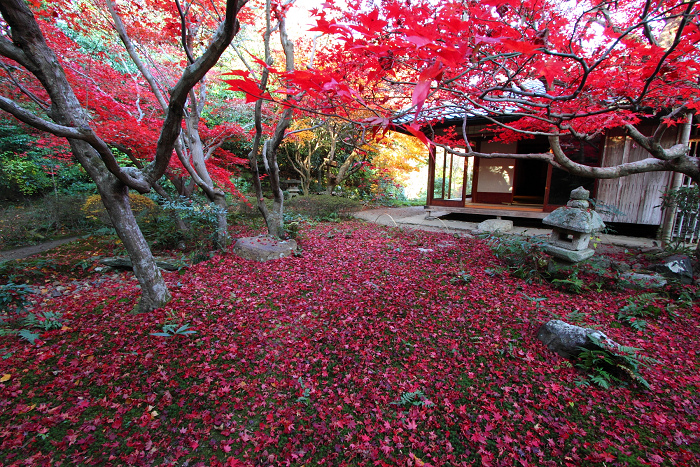 紅葉の嵯峨野巡り －厭離庵－_b0169330_2359513.jpg