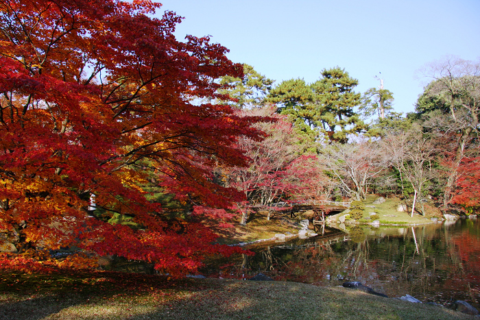 紅葉の仙洞御所（後編）_b0169330_758966.jpg