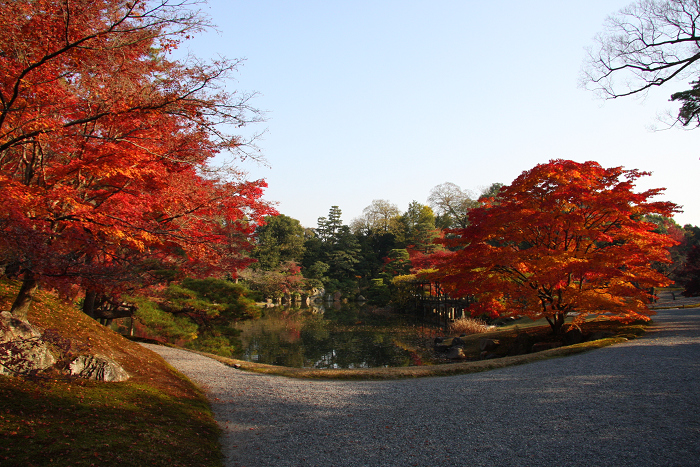 紅葉の仙洞御所（後編）_b0169330_821220.jpg