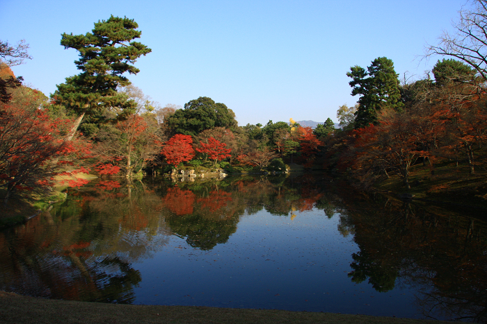 紅葉の仙洞御所（後編）_b0169330_824185.jpg