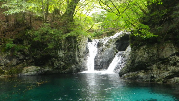 a0243432_20202642.jpg