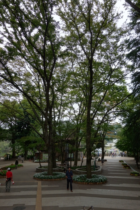 a0287336_19304058.jpg