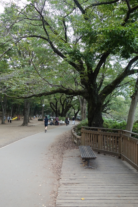 a0287336_19343053.jpg