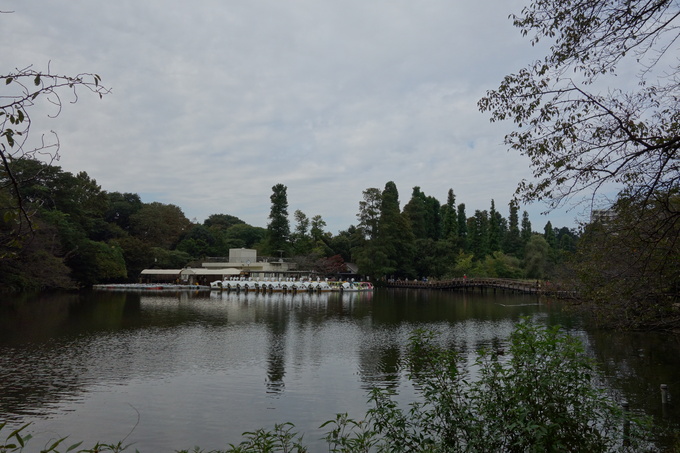 a0287336_19344016.jpg