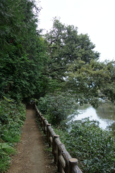 a0287336_19413640.jpg