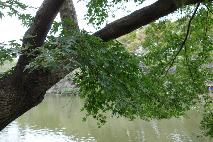 a0287336_19415085.jpg