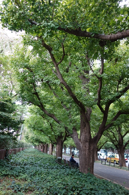 a0287336_194188.jpg