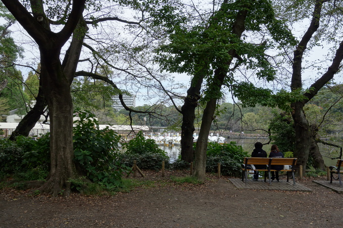 a0287336_19423857.jpg