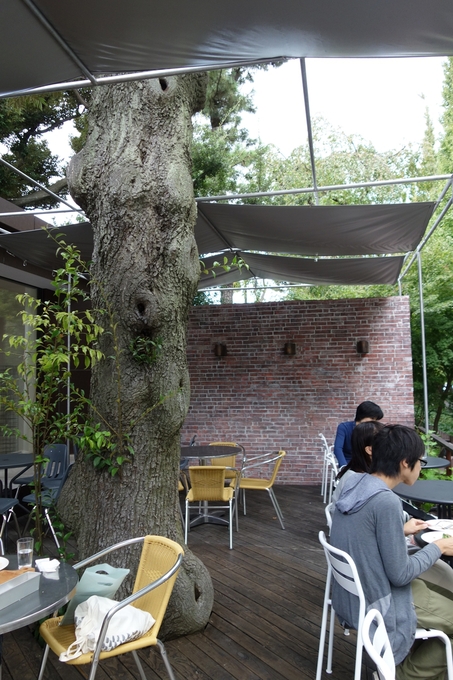 a0287336_1943096.jpg