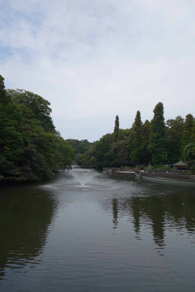 a0287336_19513949.jpg