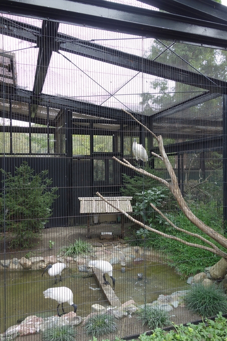 a0287336_19562444.jpg
