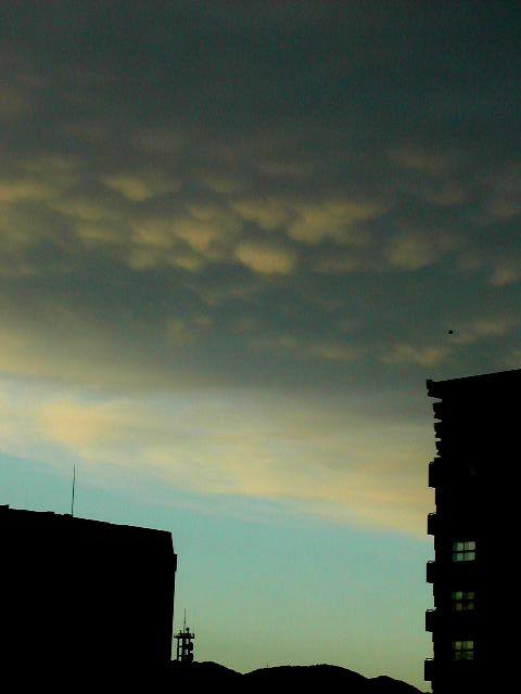 b0073937_15125668.jpg