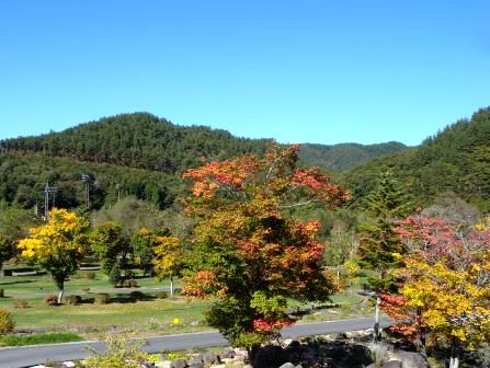 秋の色Ⅲ_b0206037_1384677.jpg