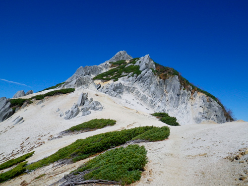 f0209740_1391279.jpg