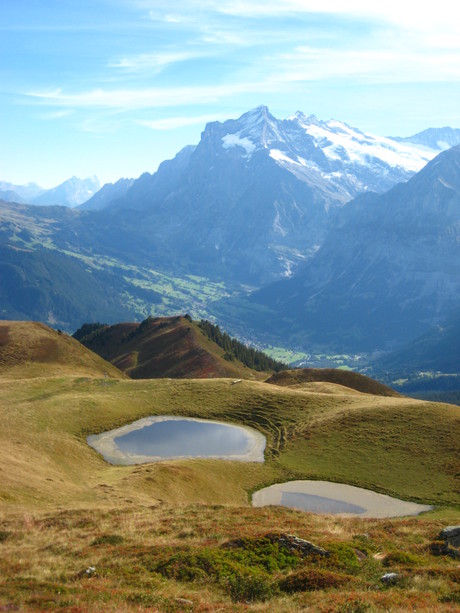 c0209845_2337670.jpg