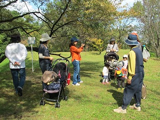 ごまめ植物園を歩く！_b0180648_14294283.jpg