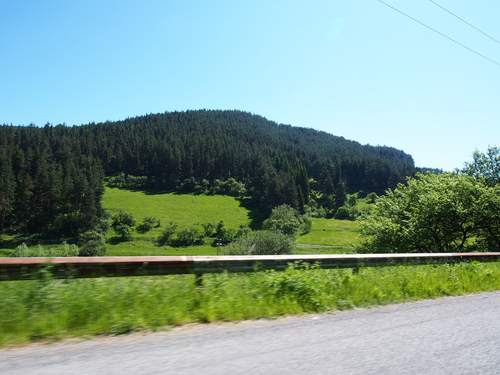 e0118750_07673.jpg