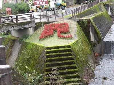 毘沙門様の欅が色づきました_a0084753_15435658.jpg
