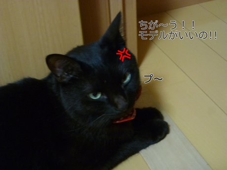 d0170555_2321092.png