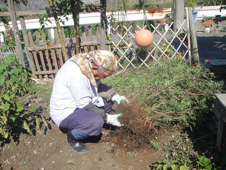 c0108460_1624536.jpg