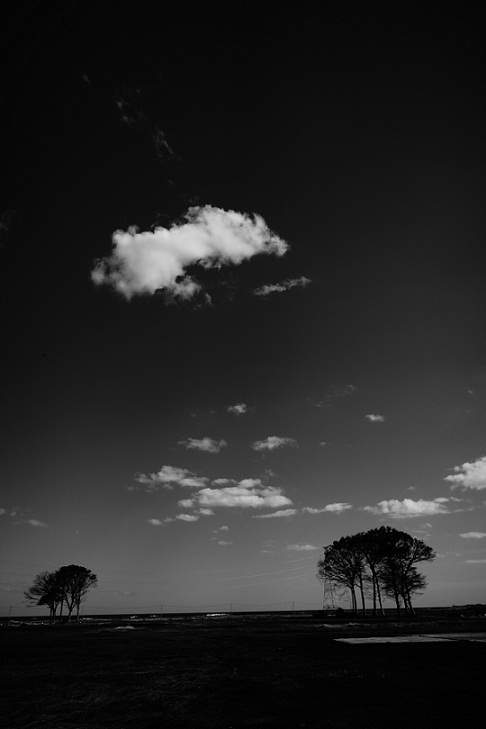 a0262562_19444688.jpg