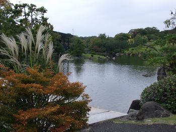 e0292365_05432.jpg