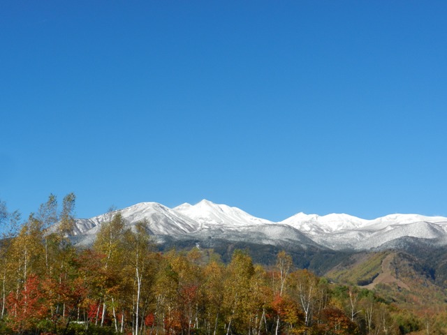 d0226767_17433458.jpg