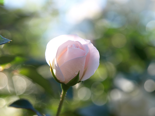 b0006870_21525710.jpg