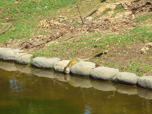 c0182782_21414249.jpg