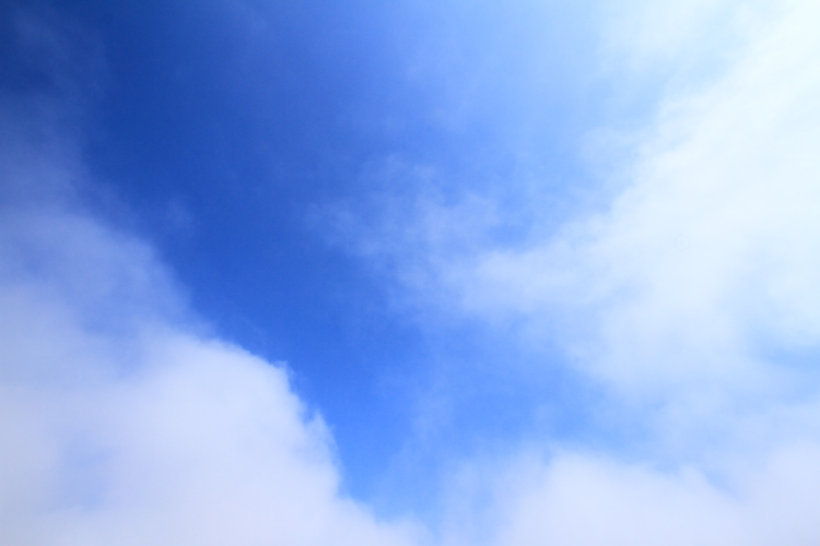 e0051888_2332359.jpg