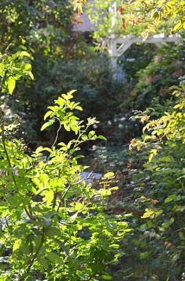 d0099791_14271465.jpg