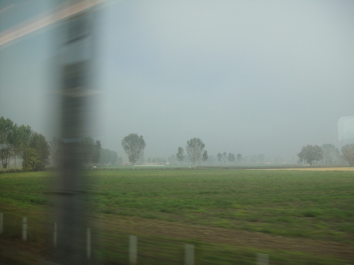 e0203793_8163527.jpg