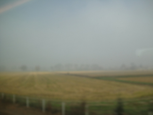e0203793_8314879.jpg