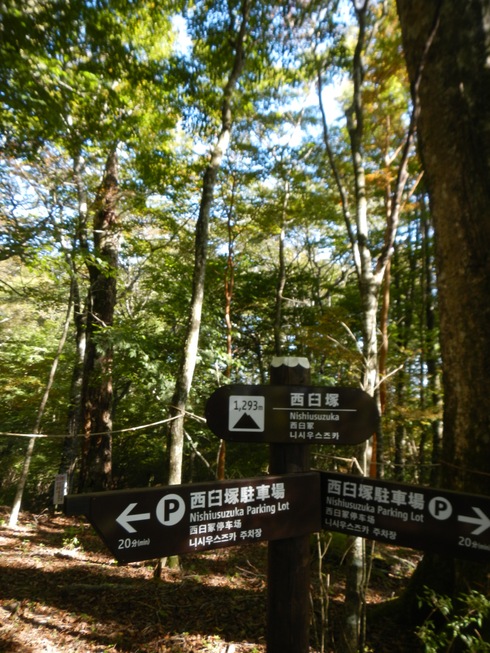 富士山の麓でリラックス　2日目_a0093595_2212224.jpg