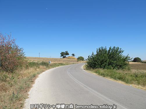 c0010496_221436.jpg