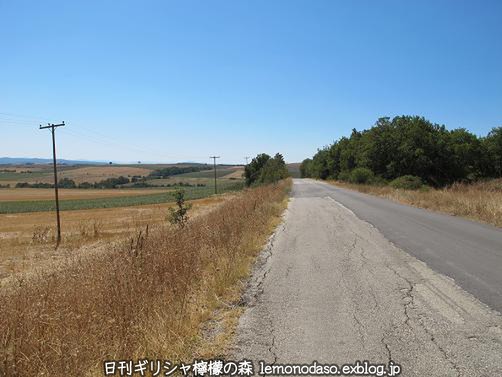 c0010496_22184622.jpg