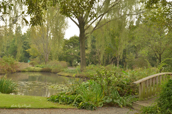 a0161698_23451180.jpg