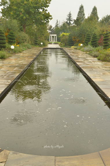 a0161698_23503662.jpg